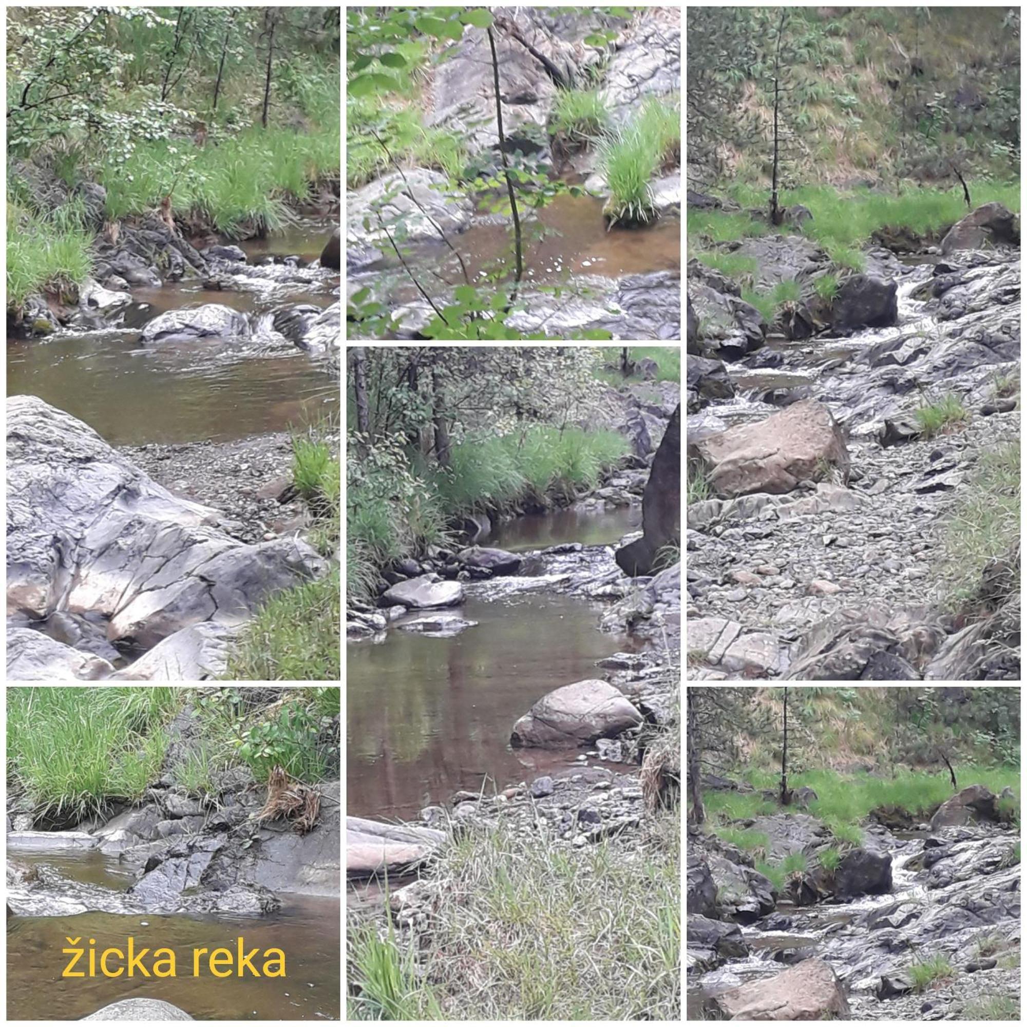 Kuca Za Odmor Zicanka Кралево Экстерьер фото